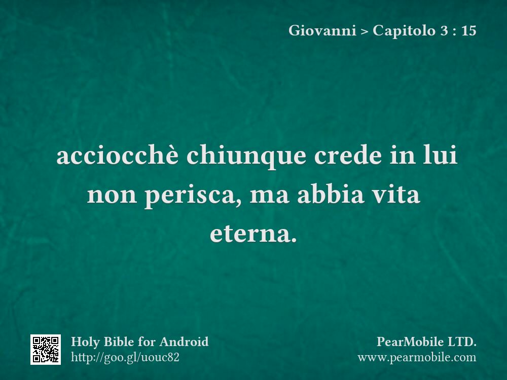 Giovanni, Capitolo 3:15